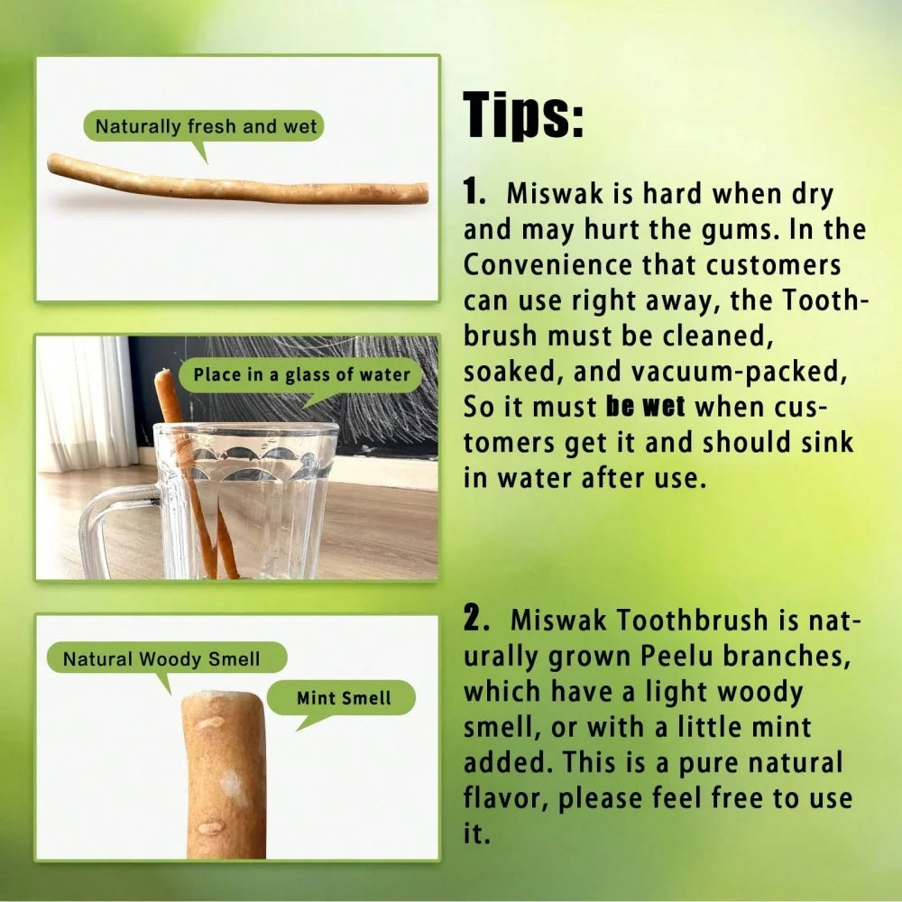 Natural Miswak Traditional Toothbrush Stick for Whiter Teeth, Healthy Gums, and Fresher Breath