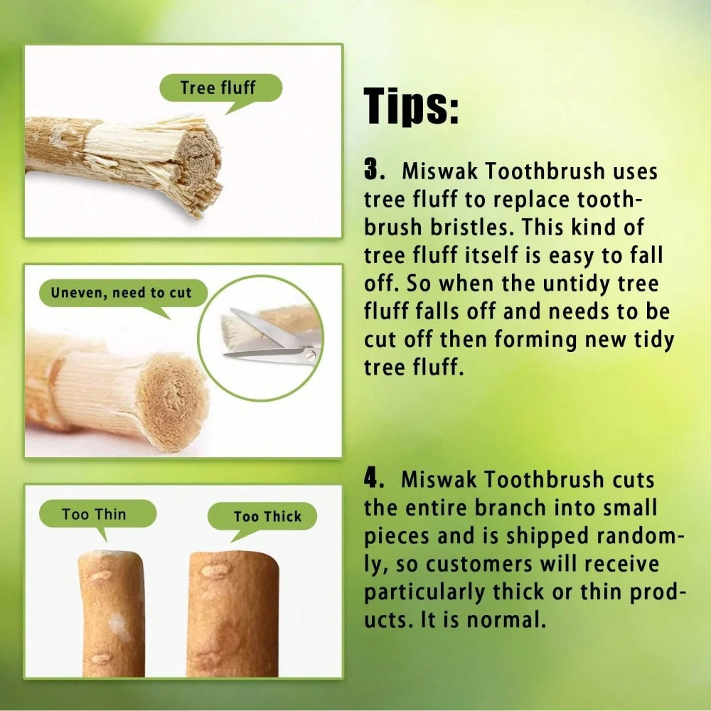 Natural Miswak Traditional Toothbrush Stick for Whiter Teeth, Healthy Gums, and Fresher Breath